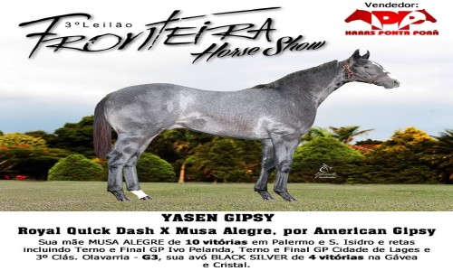 YASEN GIPSY 