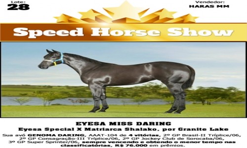 EYESA MISS DARING 