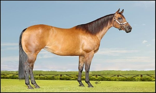 EMBRIAO ATACAMA BRYAN SA 