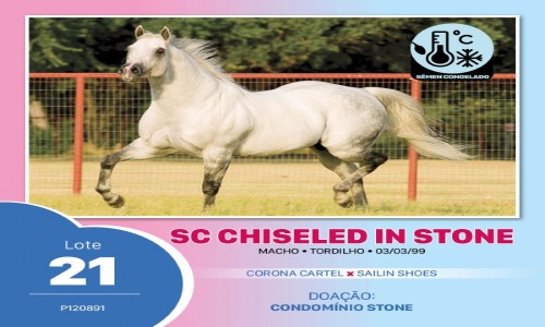 SC CHISELED IN STONE 