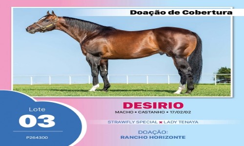 DESIRIO 