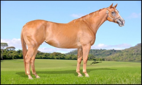 EMBRIAO LOVE BELA EASE 