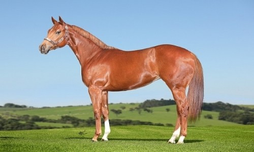 FANTASTIC BRYAN JESS 