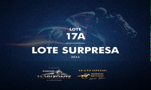 LOTE SURPRESA 