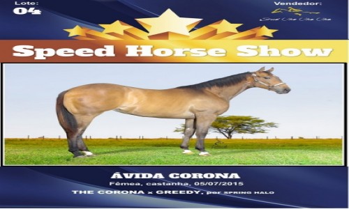 AVIDA CORONA 