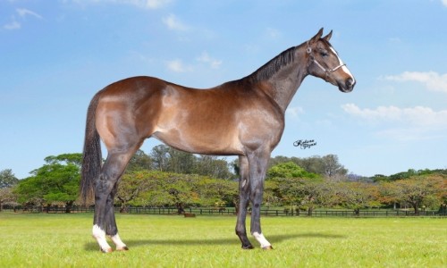 LOCK MOON DASHER CAR 