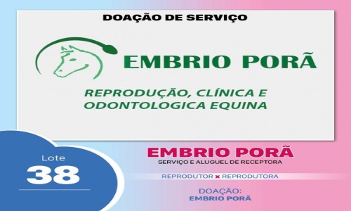 SERVIÃ‡O EMBRIO PORÃƒ 