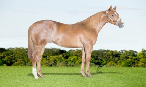 ALL IN TREIS SEIS HF 