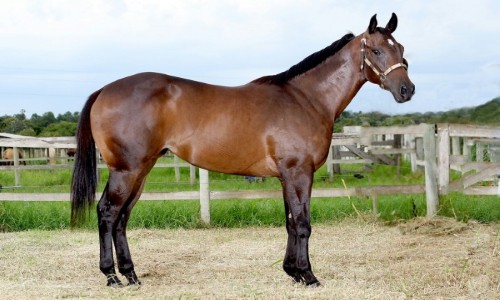 ANGEL LAKE BRYAN R2M 