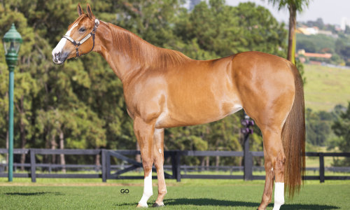 EMBRIAO JESS GRANADA JNN X FANTASTIC FEATURE 2 