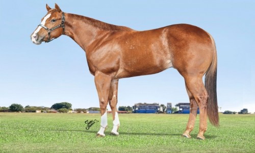 GRANITE OF NIGHT JNN 