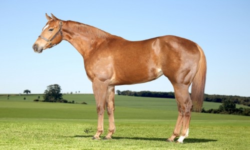 FLYING EASE LAKE ALW 