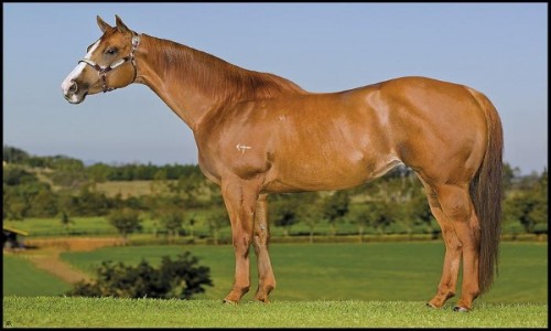 VENTRE LIBBYS CARTEL 