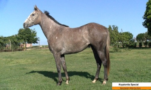 KRYPTONITA SPECIAL 