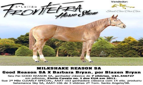 MILKESHAKE REASON SA 