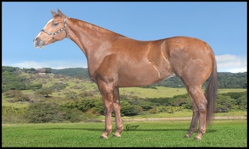 EMBRIAO AGLAIA BRYAN SA 