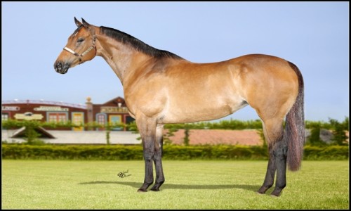 EMBRIAO GOOD REASON SA X DASHIN CARTEL 