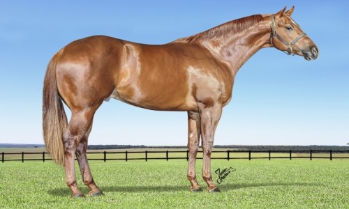 VITORIOSO DA SHALAKO 