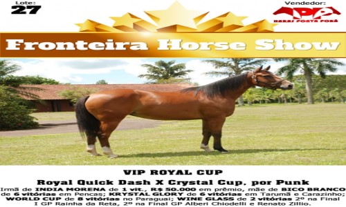 VIP ROYAL CUP 