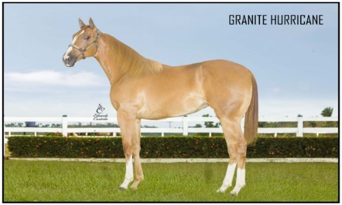 GRANITE HURRICANE 