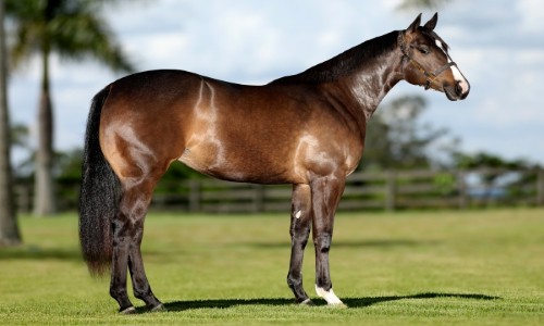 RHSA MISS GOOD DANCE 