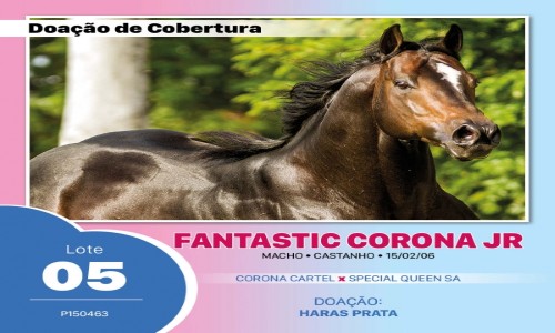 FANTASTIC CORONA JR 