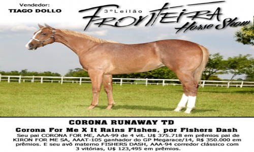 CORONA RUNAWAY TD 