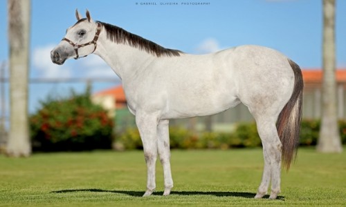 RCH LINDAS THRU FIRE 