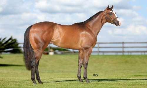 ONE FAMOUS ABOVE GLR 