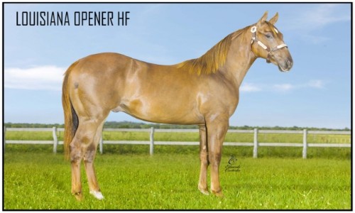 LOUISIANA OPPENER HF 