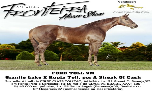 FORD TOLL VM 