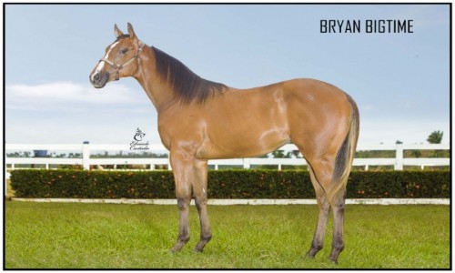 BRYAN BIGTIME 