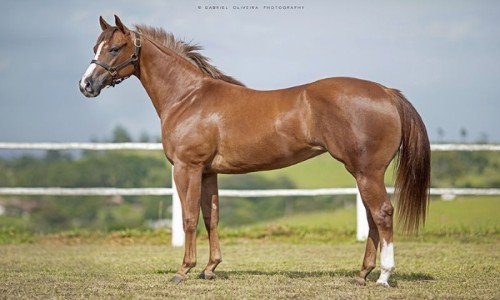 MYSTER YOUR LIPS JNN 