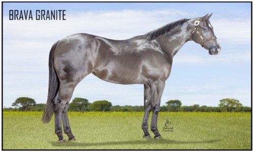 BRAVA GRANITE 