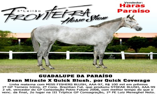 GUADALUPE DA PARAISO 