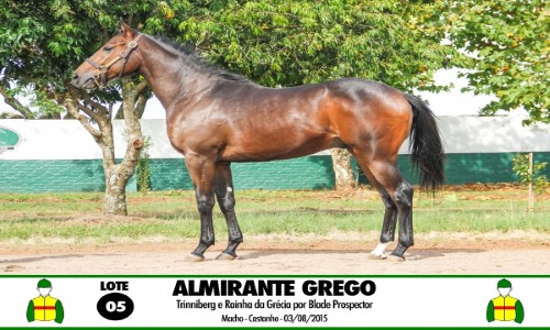 ALMIRANTE GREGO 