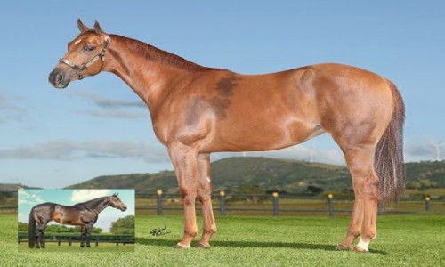 NN GLORIA LAKE X FANTASTIC CORONA JR 