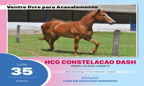 HCG CONSTELACAO DASH 