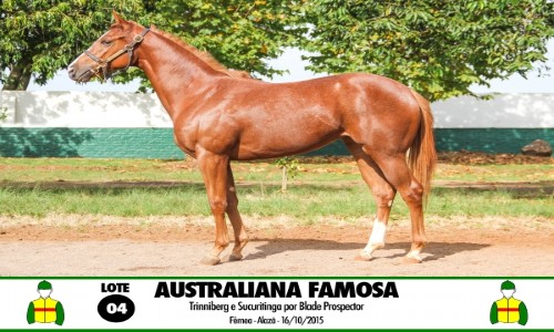 AUSTRALIANA FAMOSA 