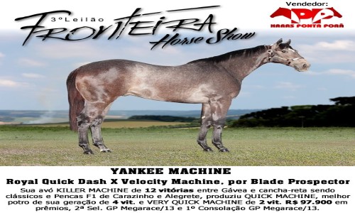 YANKEE MACHINE 