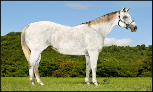 EMBRIAO CHARLOTTE BRYAN SA 