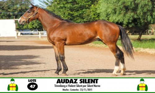 AUDAZ SILENT 