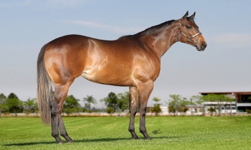 IMPEACHMENT LAKE ERP 