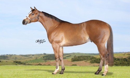 FANTASTIC SECRET BAR 