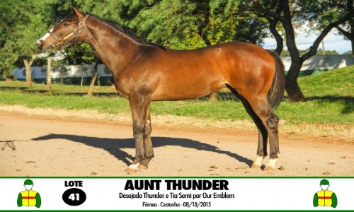 AUNT THUNDER 