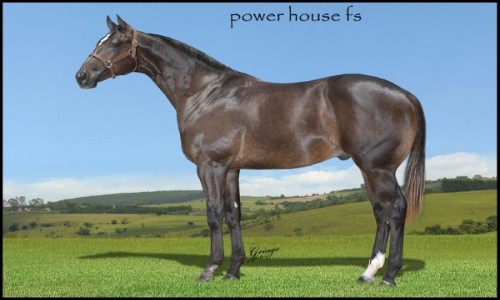 POWER HOUSE FS 