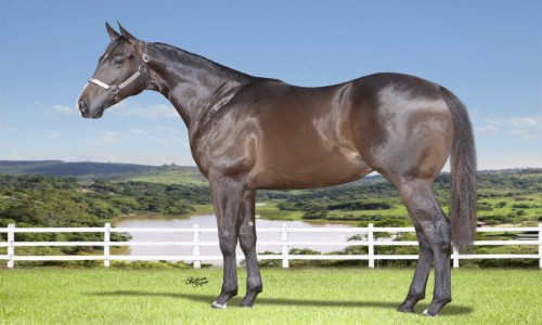 BJORN GOOD GRACE SAM 