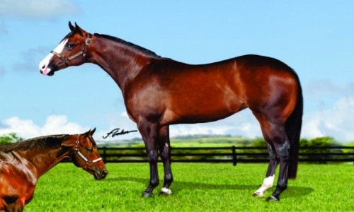 EMBRIÃO ONE APPEALS JNN  X CORONA FOR ME 