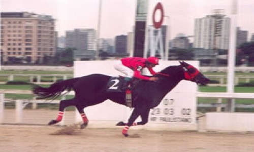 COBERTURA GREGORIANO 