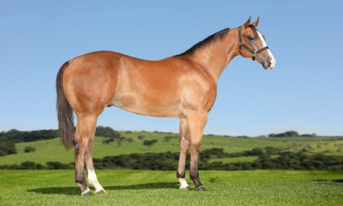 FISHERS TOLL SEIS FS 